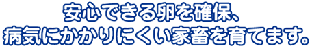 �摜
