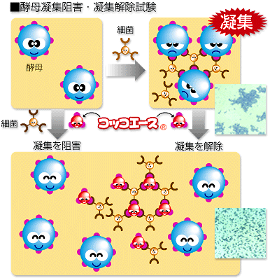 �摜