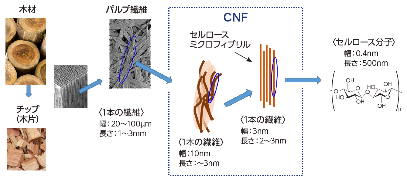 セルロースナノファイバーの図