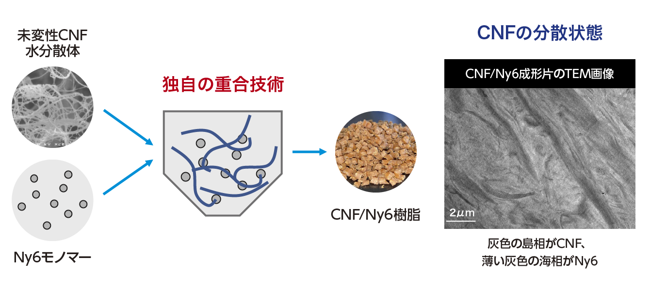 CNF/Ny6の複合化の図