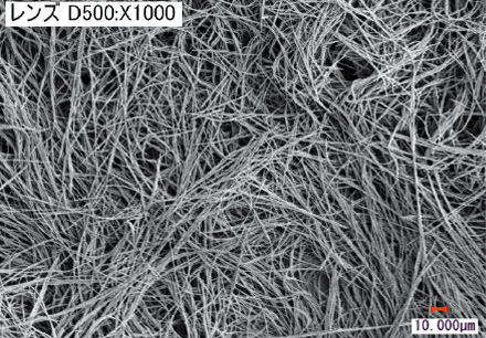 SEM image of the conductive nanowire.