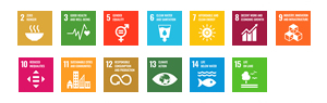 Priority Issues (Materiality) / Promotion of Sustainability