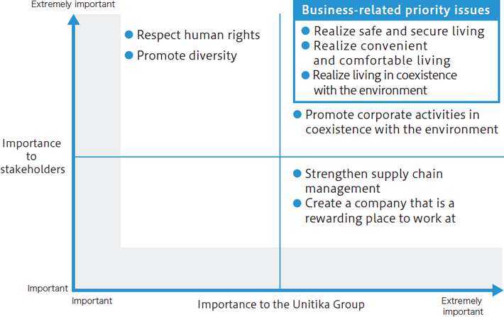 Priority issue matrix