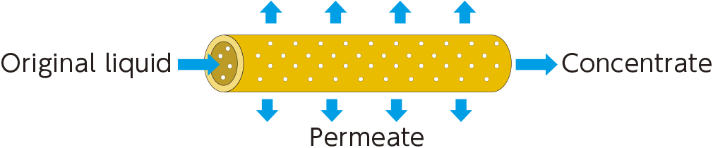 Separation principle of hollow fiber membranes