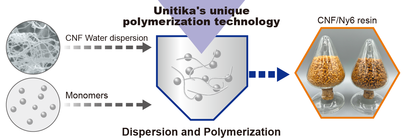 Dispersion and Polymerization