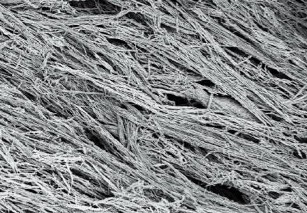 SEM image of the magnetic nanowire.