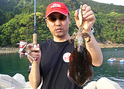 画像