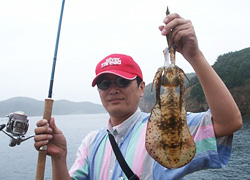 摜