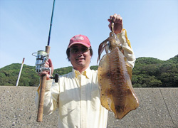 摜