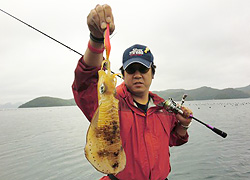 エギング釣行記