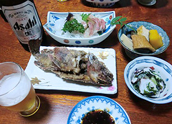エギング釣行記