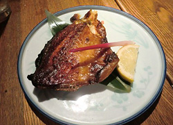 エギング釣行記