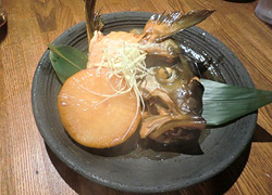 エギング釣行記
