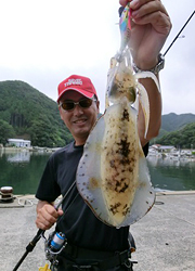 エギング釣行記