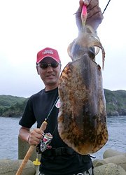 エギング釣行記