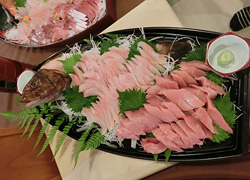 エギング釣行記