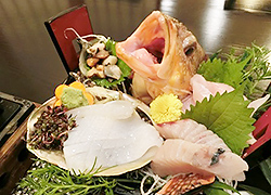 エギング釣行記