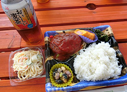 エギング釣行記