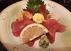 エギング釣行記