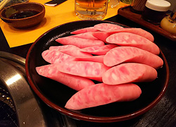 エギング釣行記