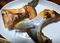 エギング釣行記