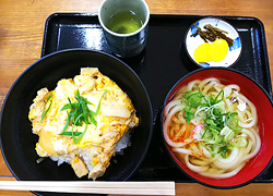 エギング釣行記