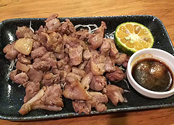エギング釣行記