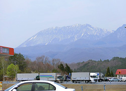 エギング釣行記