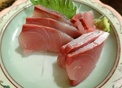 エギング釣行記