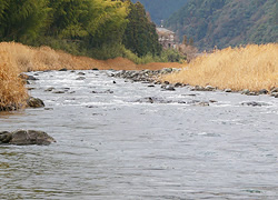 釣行レポート