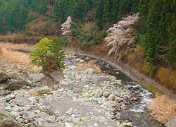 釣行レポート