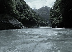 釣行レポート