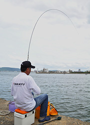 釣行レポート