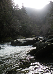 釣行レポート