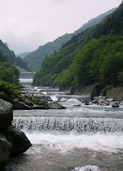 釣行レポート