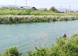 釣行レポート