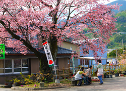 釣行レポート