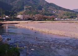 釣行レポート