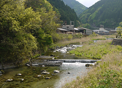 釣行レポート