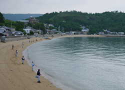 釣行レポート