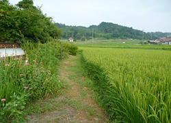 釣行レポート