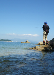 釣行レポート