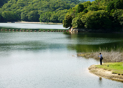 釣行レポート