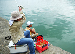 釣行レポート