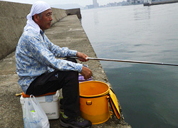 釣行レポート