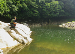 釣行レポート