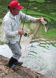 釣行レポート