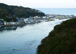 釣行レポート