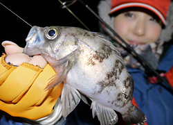 釣行レポート