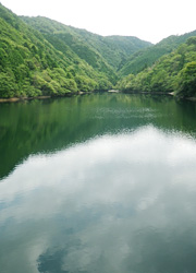 釣行レポート